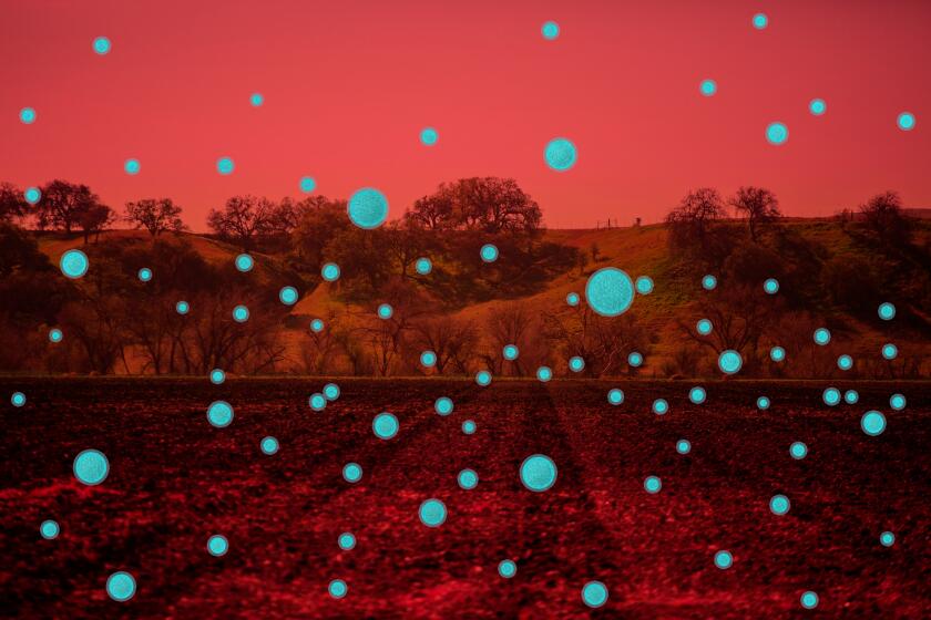 Illustration of spores in front of farmland in Paso Robles as Valley Fever, a fungal infection that spreads through dust, has increased in frequency and expanding in geography in the Central Valley on Tuesday, March 22, 2022 in Paso Robles, CA. (Illustration by Jim Cooke / Los Angeles Times, Photo by Jason Armond / Los Angeles Times)