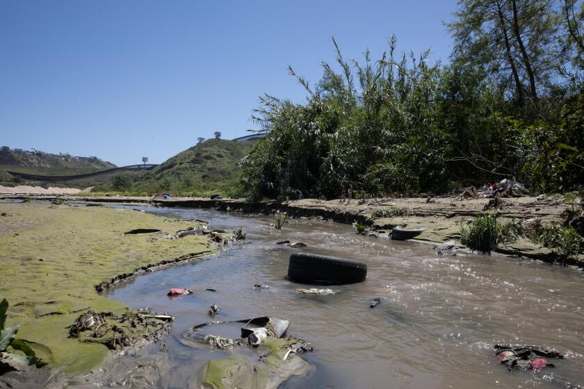 Sewage water filled with trash flow down the Tijuana River on Tuesday, April 9, 2024, in Imperial Beach, California. (Ana Ramirez/The San Diego Union-Tribune/TNS)